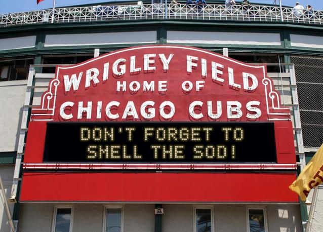 newsign.php?line1=Don%27t+forget+to&line2=smell+the+sod!&Go+Cubs=Go+Cubs